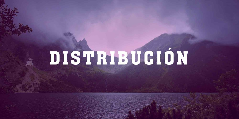 Web_Servicio_Distribución1